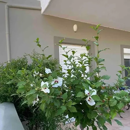 Ilisia Neapoli 1 アパート